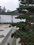 公园古建筑图片 园林一角 景色