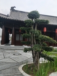 公园古建筑图片 园林一角 景色
