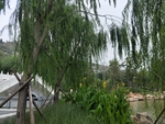 公园古建筑图片 园林一角 景色