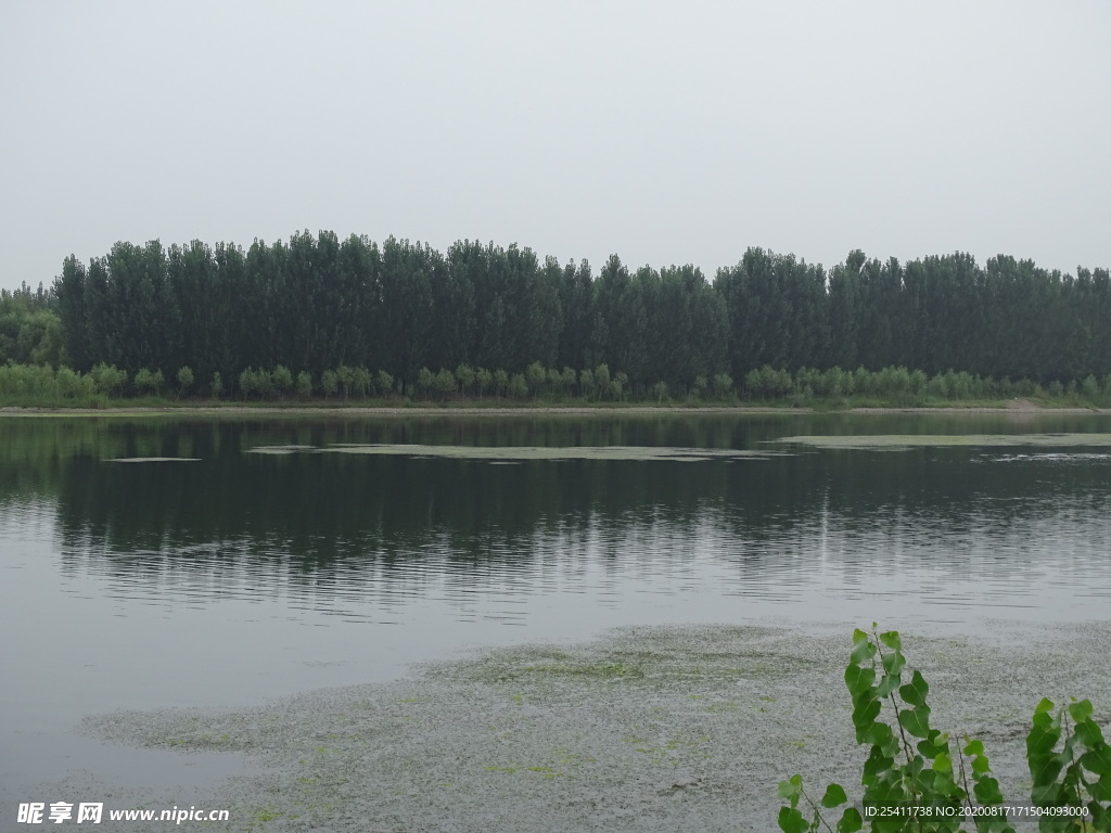 森林与河流