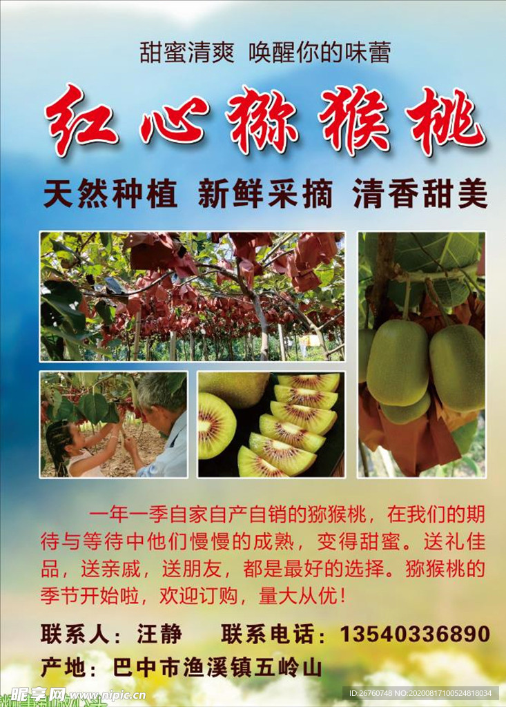 红心猕猴桃