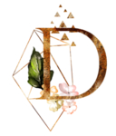 字母D