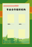 专业合作社组织机构图