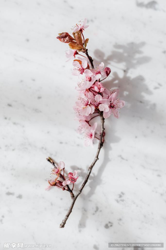 花