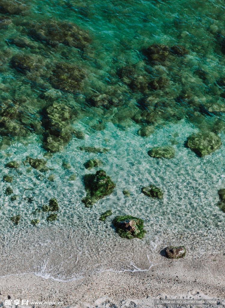 海底珊瑚礁自然生态背景素材