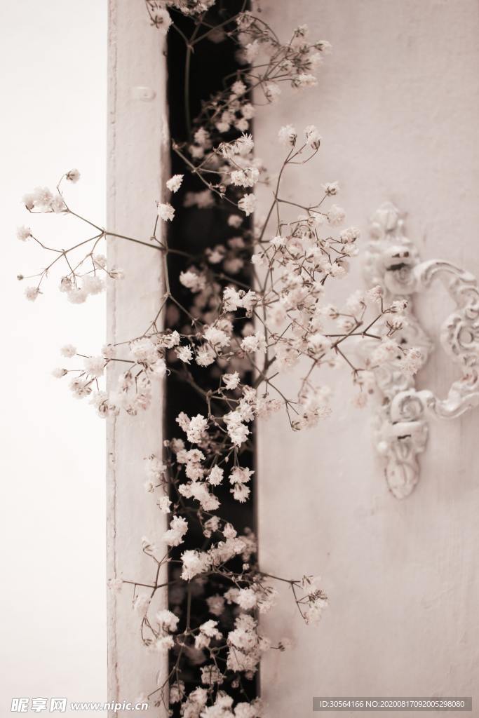 花朵花枝墙壁艺术背景素材
