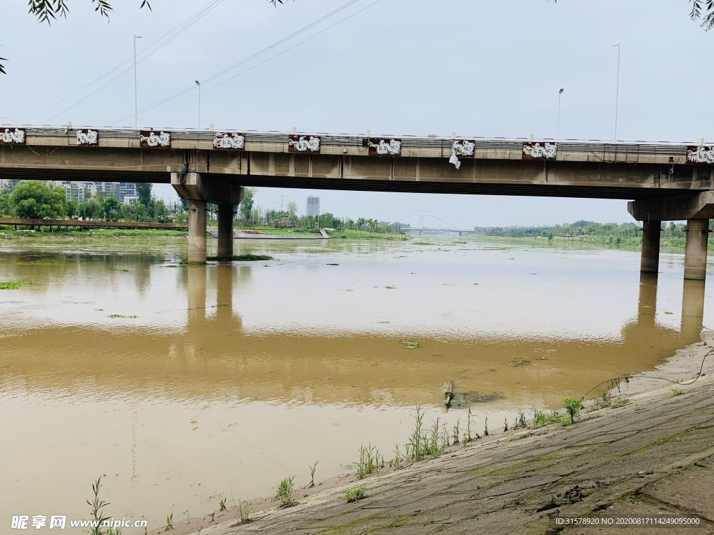 大雨后的沙河