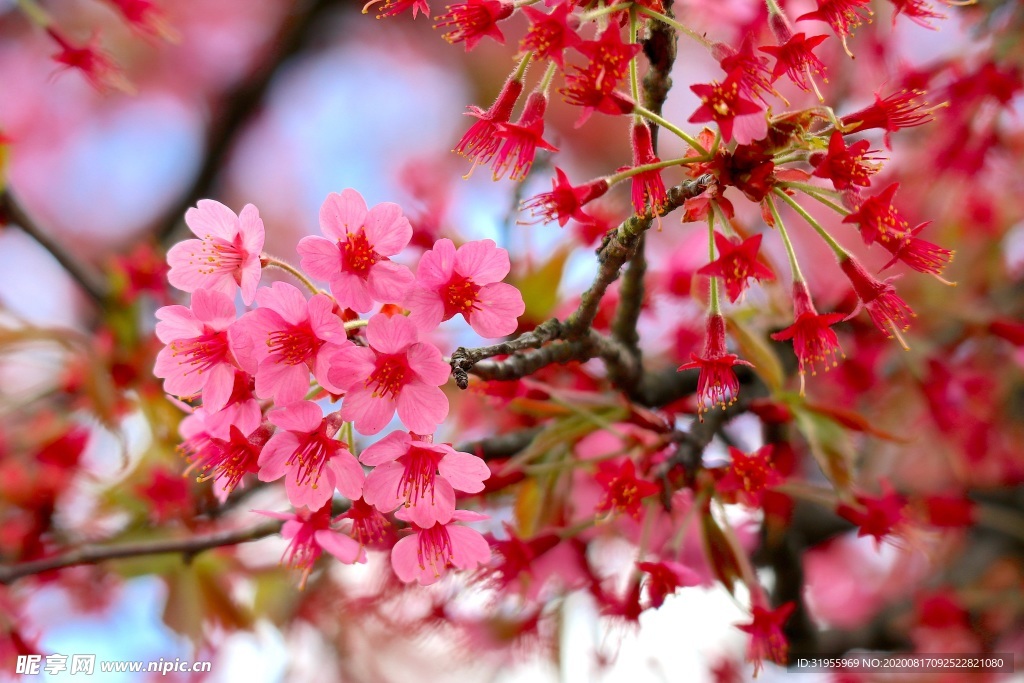 面朝大海 春暖花开