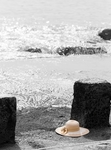 海滩 这顶帽子