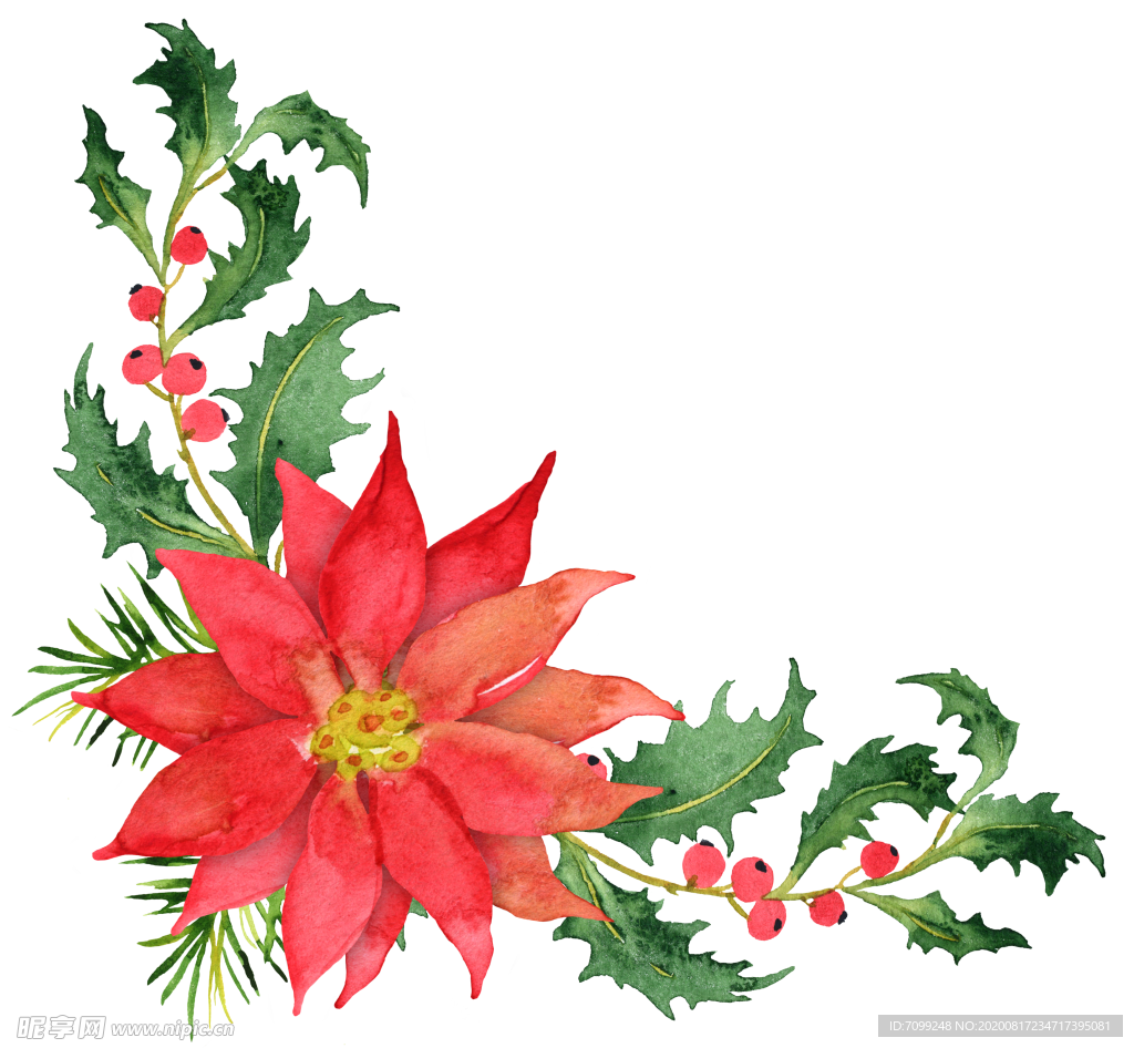 花纹花草边条