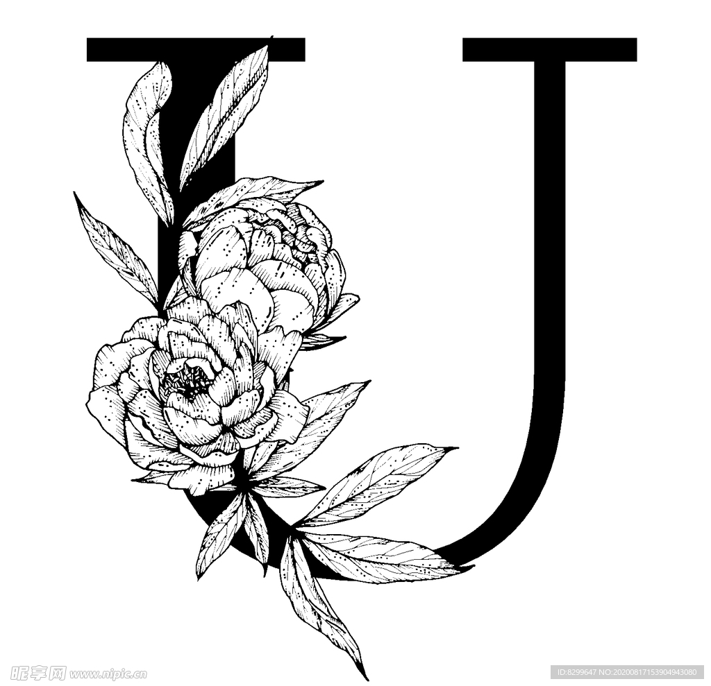字母