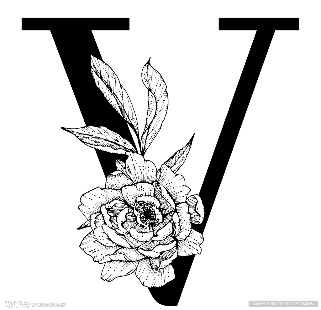 字母
