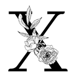 字母