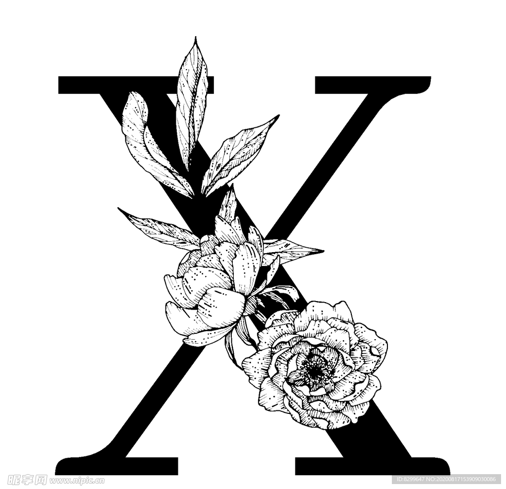 字母