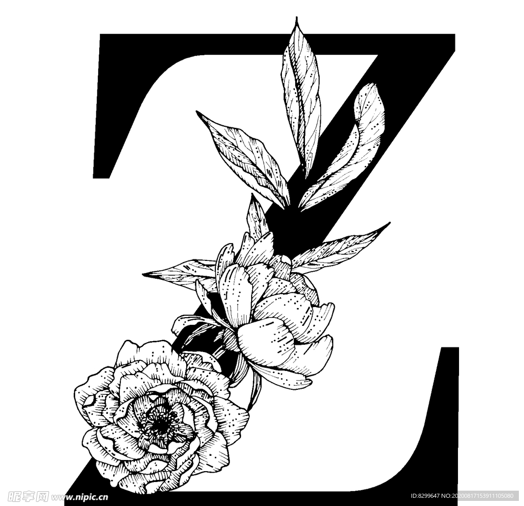 字母