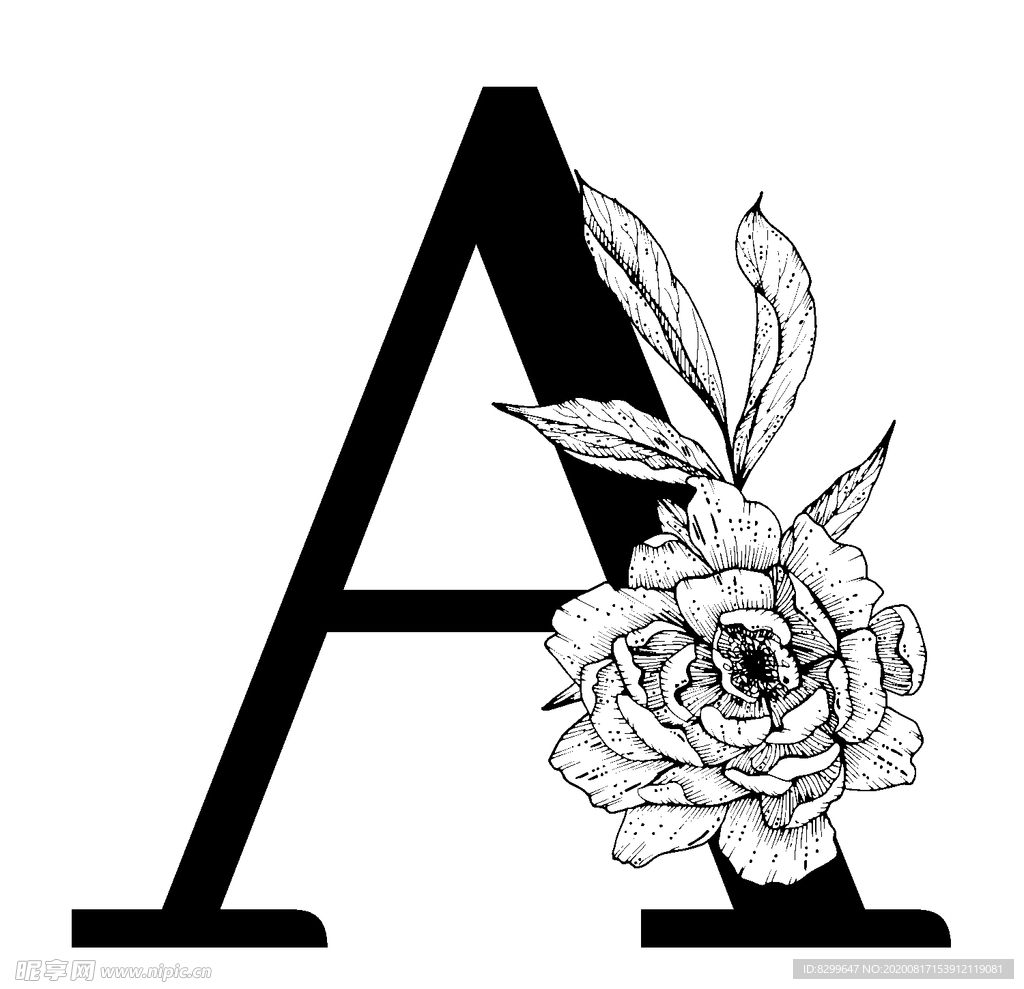 字母