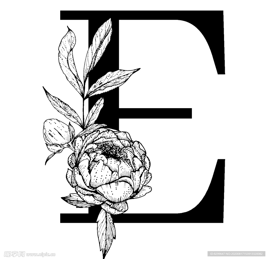 字母