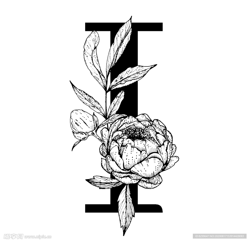 字母