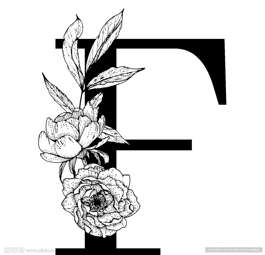 字母