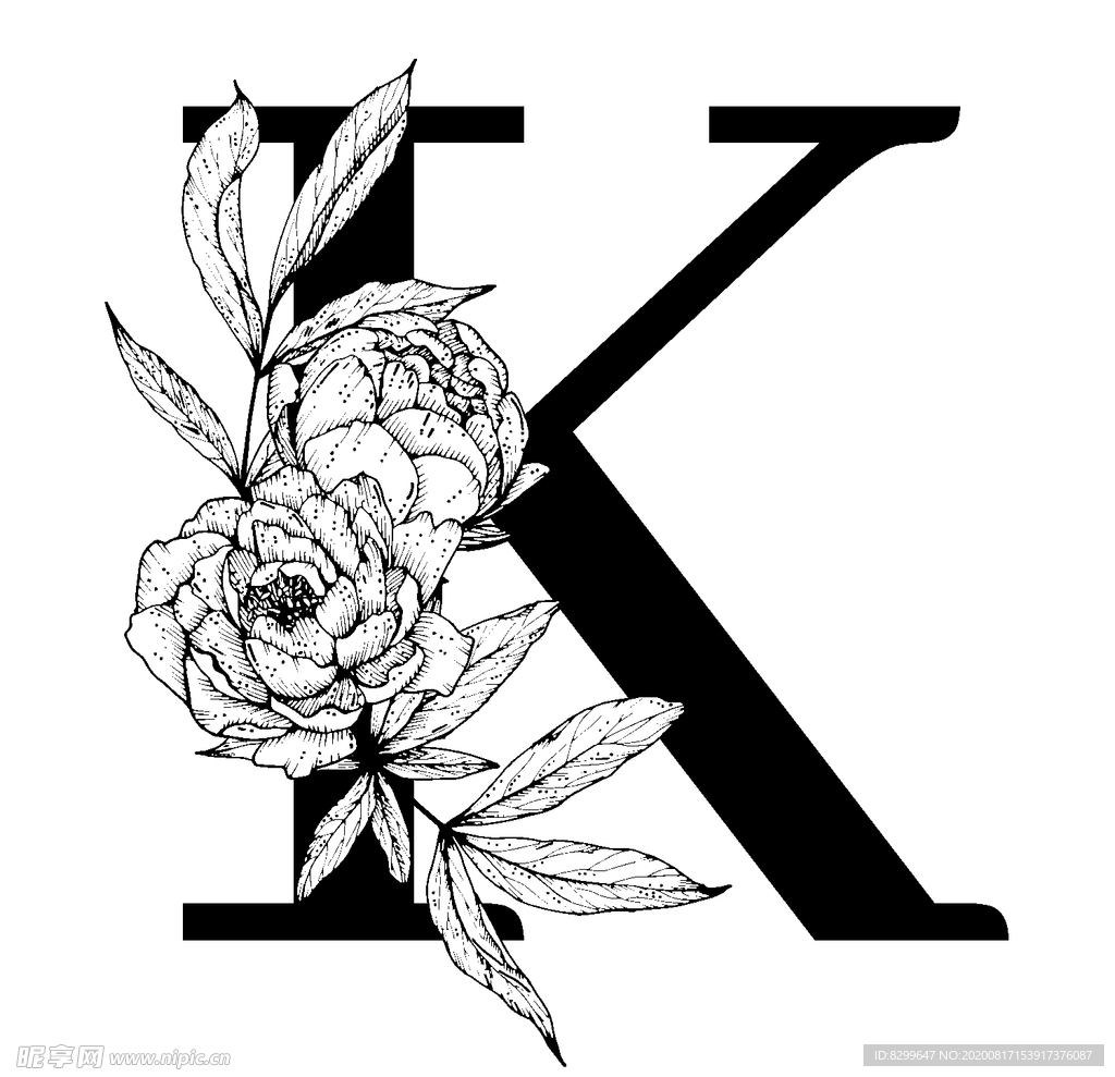 字母