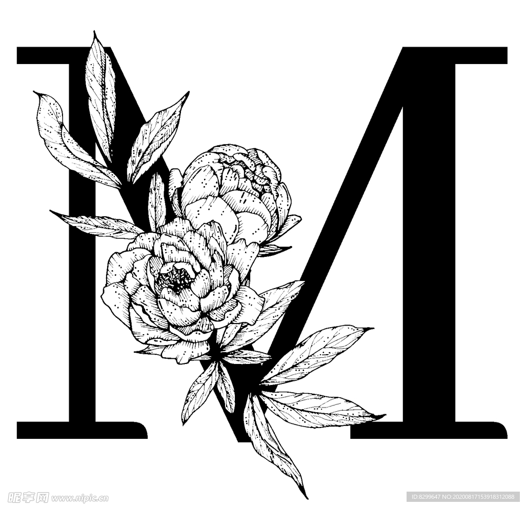字母