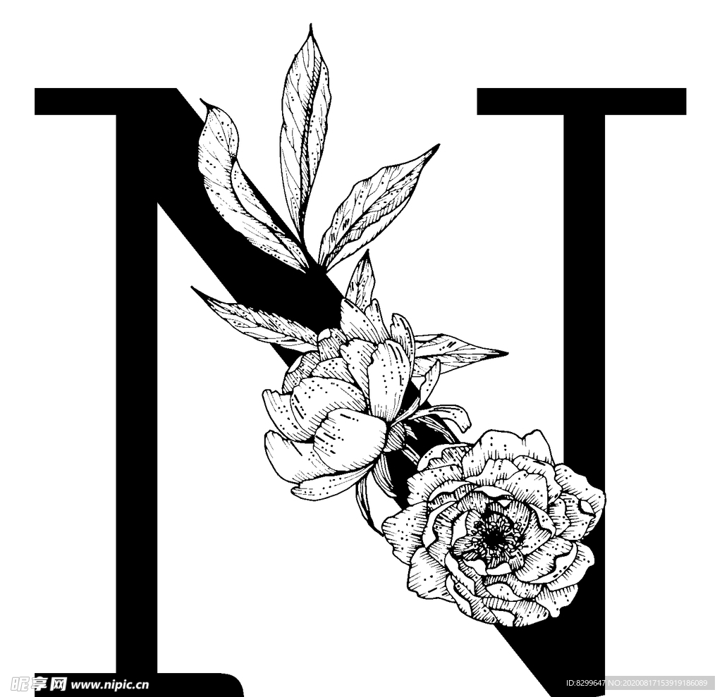 字母