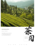 茶叶海报 新茶上市 创意海报