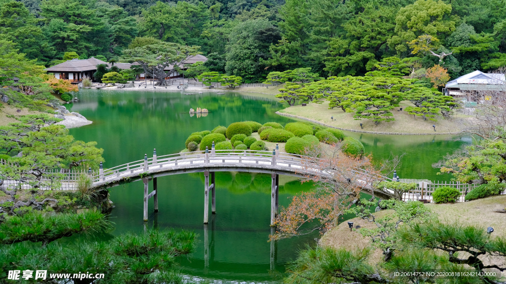 美丽的公园风景