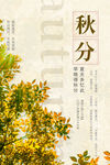 秋分海报