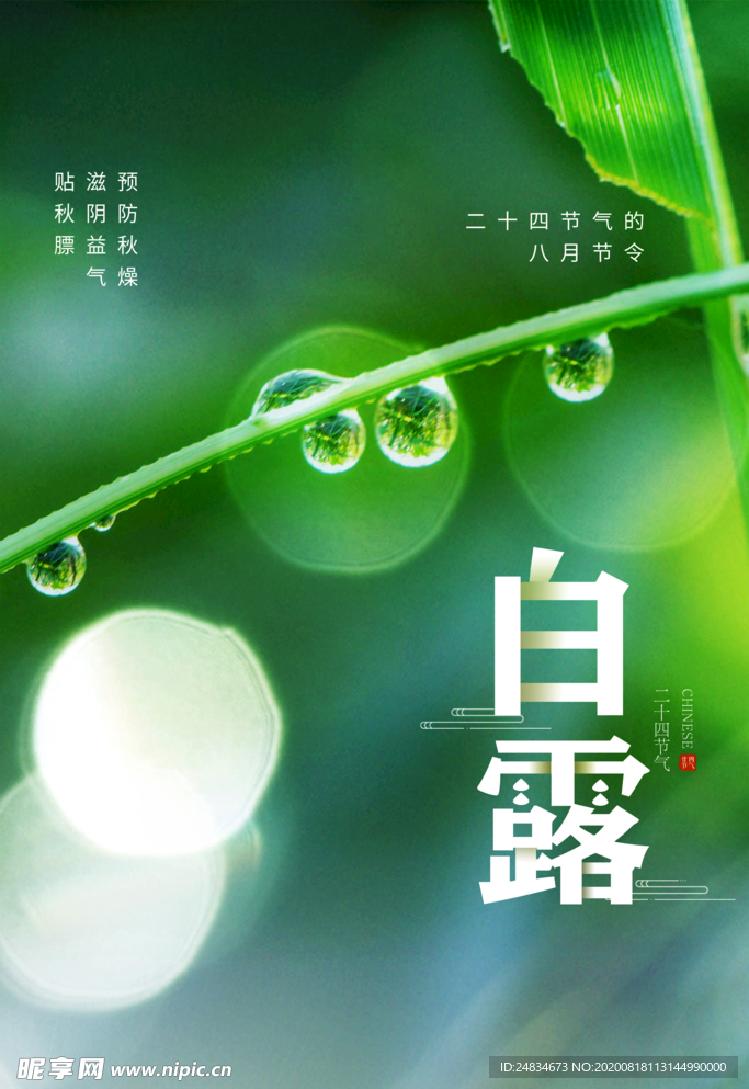 白露