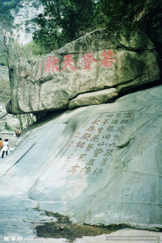 泰山