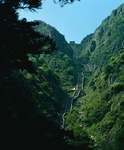 泰山