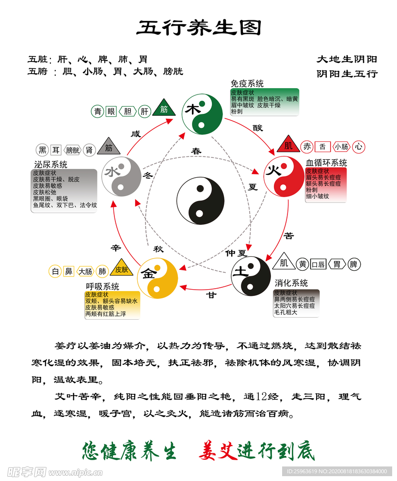 太极养生图