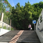 地下道的楼梯
