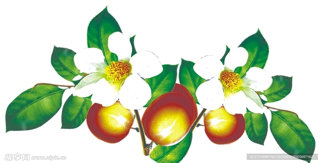 山茶