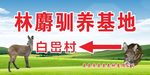 蓝天白云绿草地