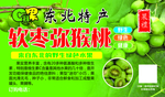 水果标签