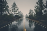 森林雨季道路景观