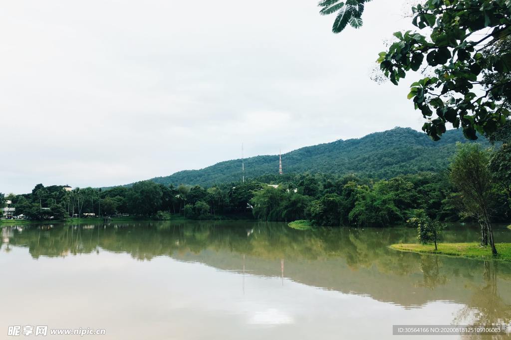 湖面森林旅游自然生态背景素材