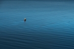 湖面海面留白自然生态背景素材