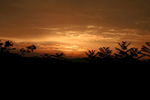 夕阳