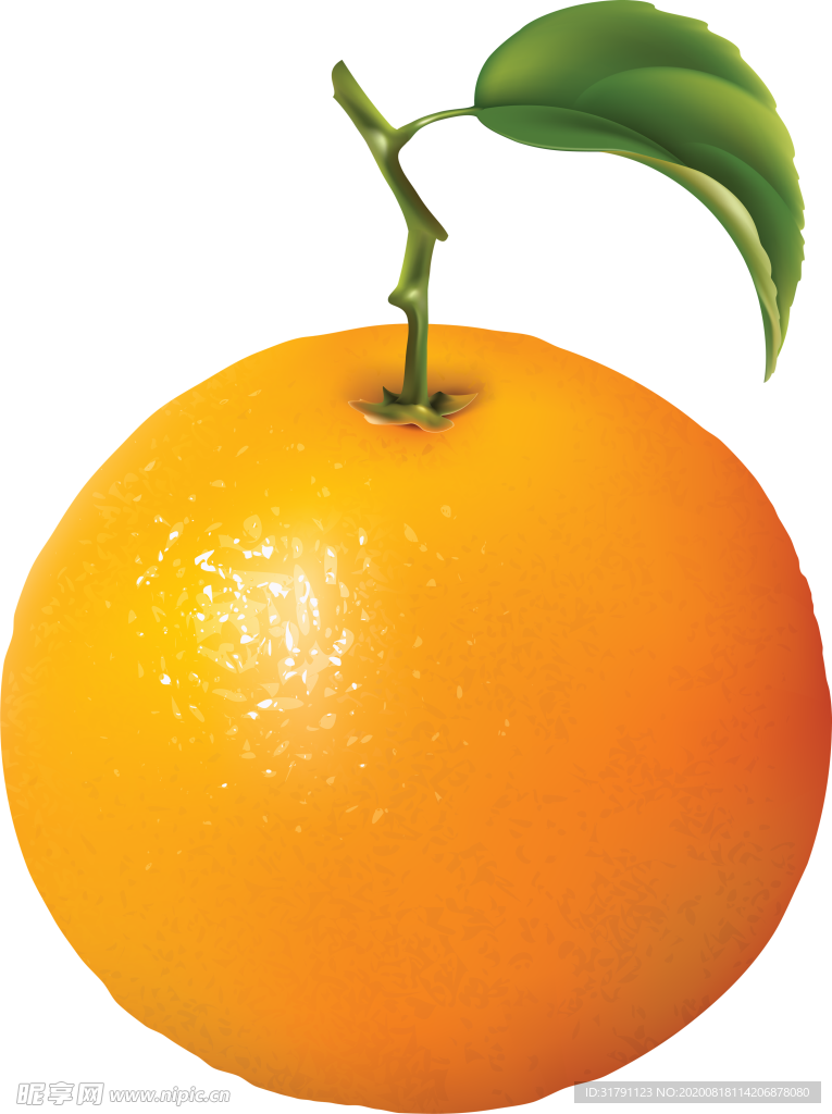 橙子
