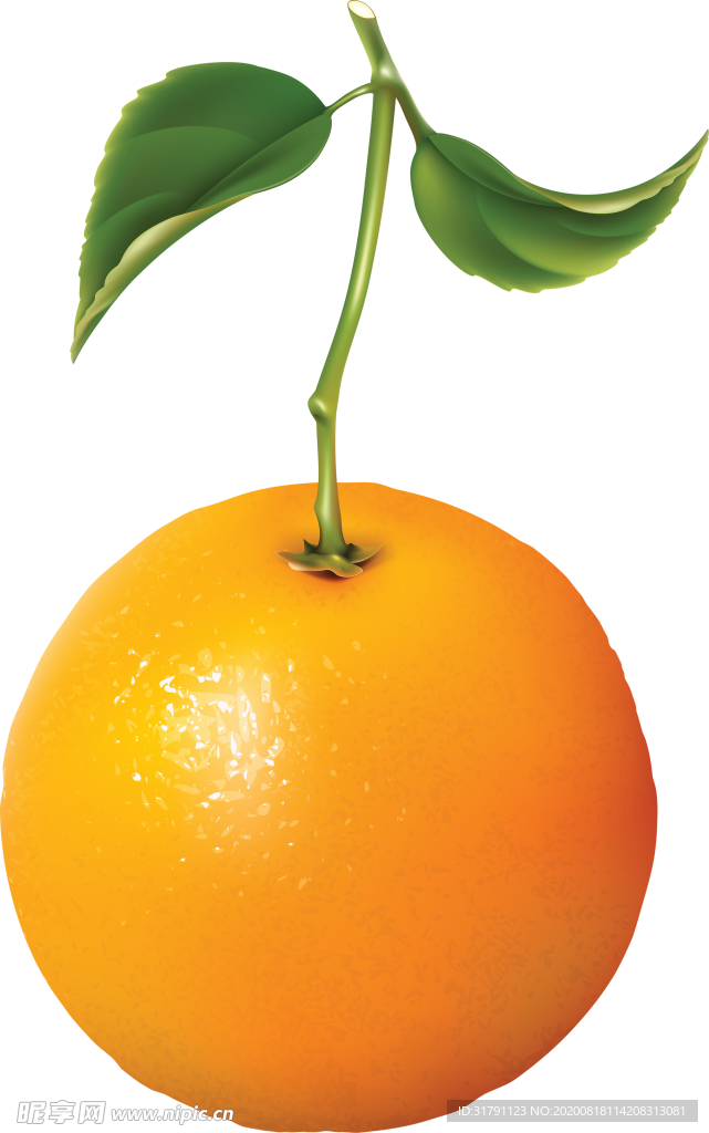 橙子