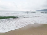 海