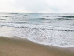 海