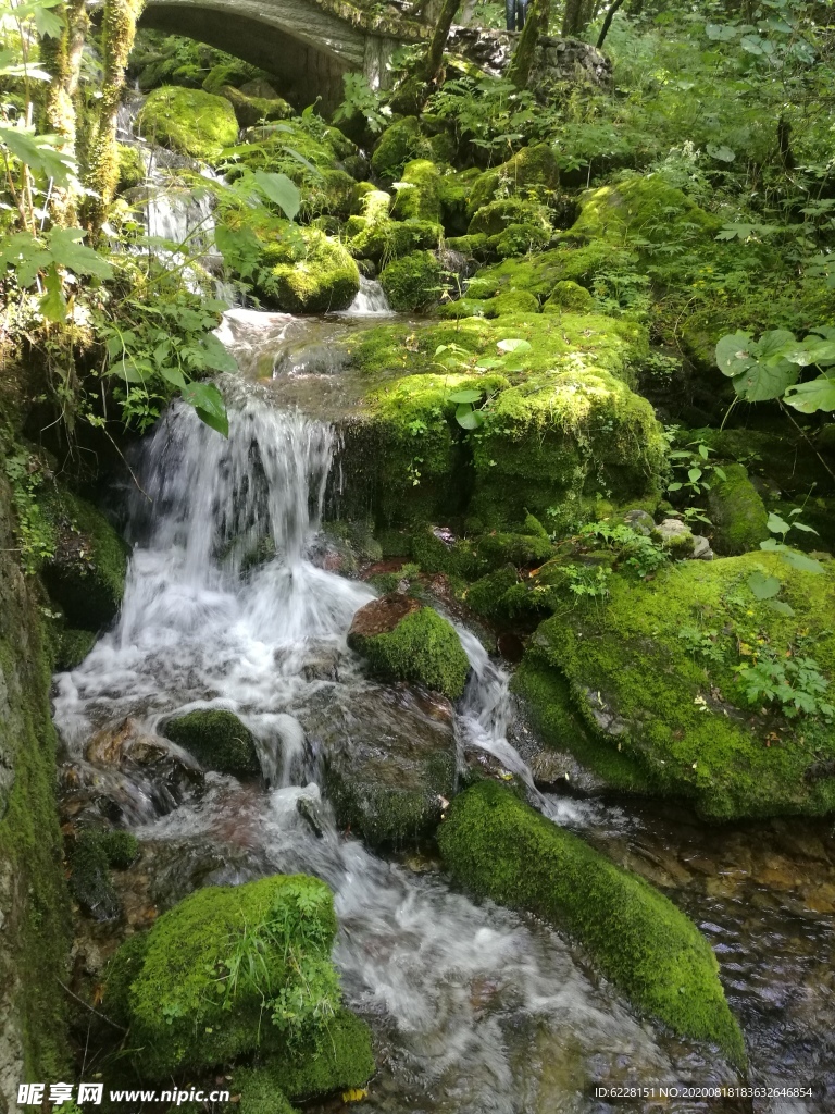 神农架风景