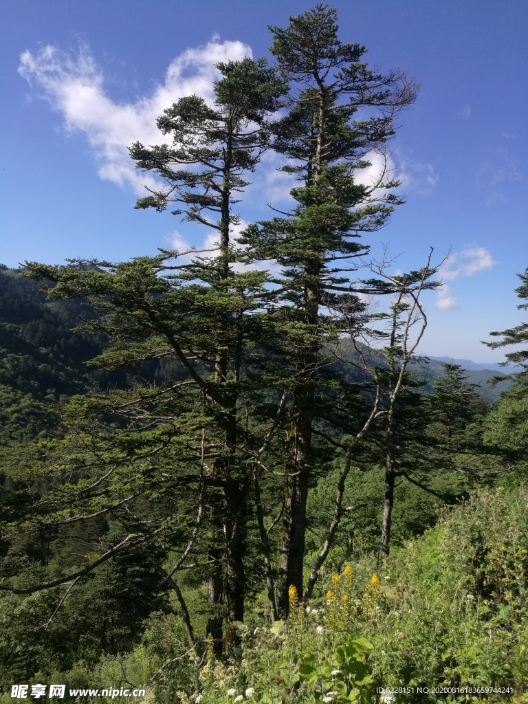 神农架风景