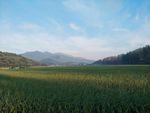 田园风光