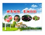 新农村建设