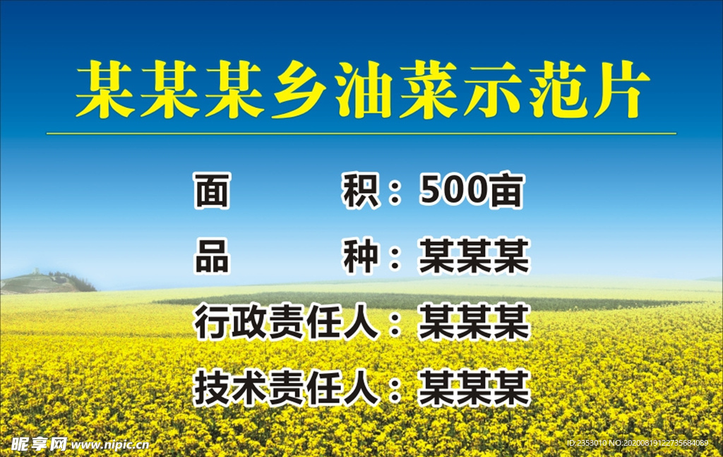 花背影